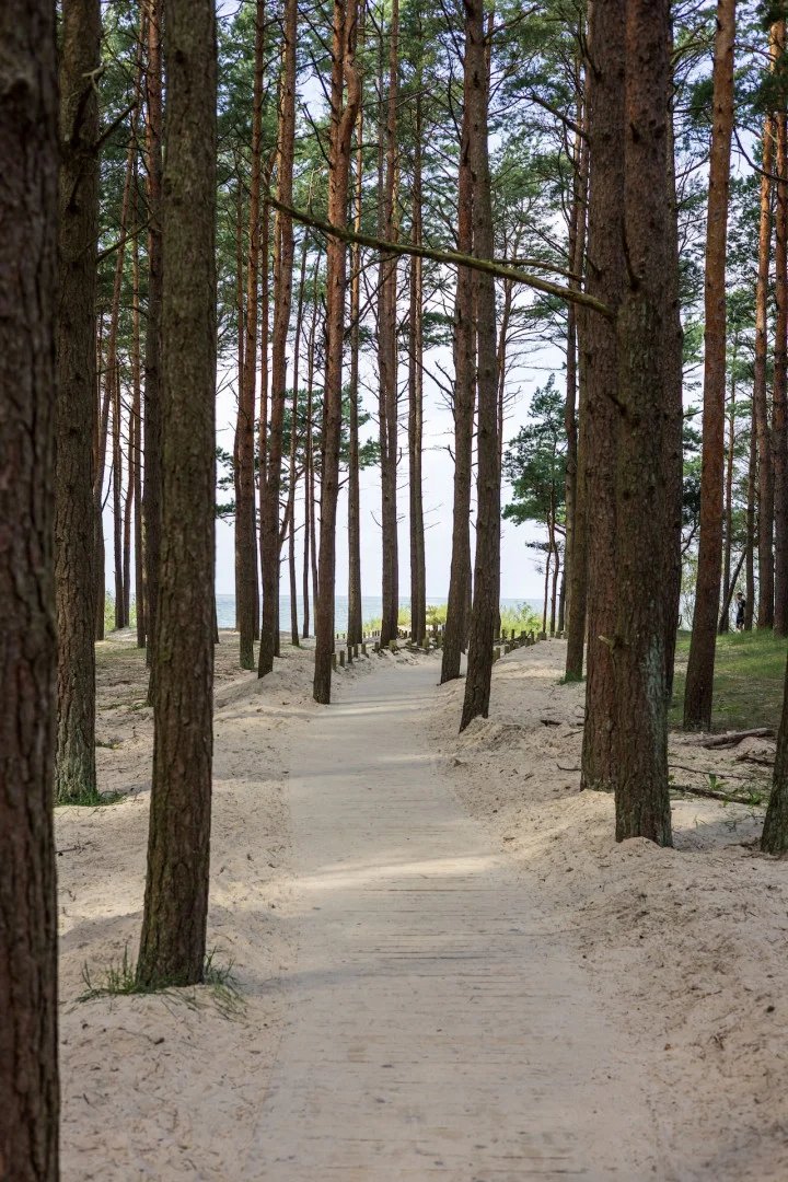 Erdvės sukurtos gyventi savo ritmu visus metus